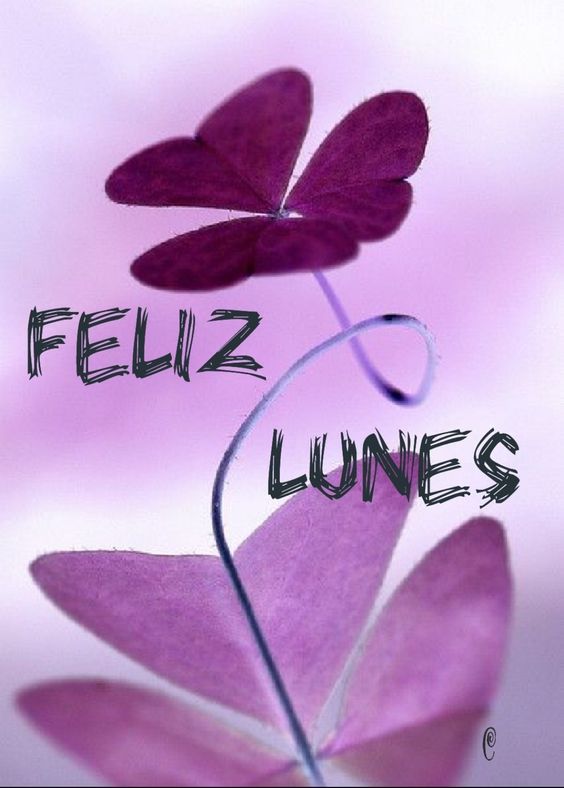 88 Imágenes y Frases Gratis de Feliz Lunes Imágenes Gratis