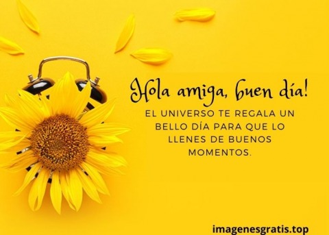 35 Imágenes y Frases Gratis de Buenos Días Amiga - Imágenes Gratis