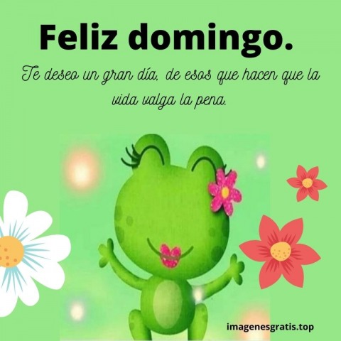 88 Imágenes y Frases Gratis de Feliz Domingo - Página 2 de 2 - Imágenes  Gratis